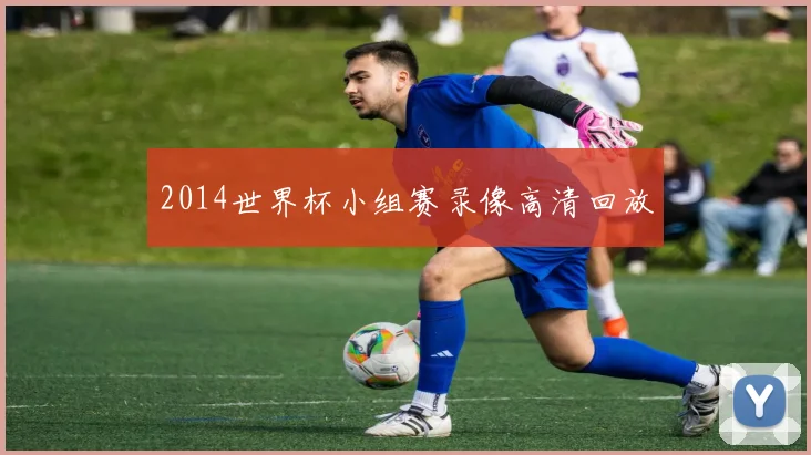2014世界杯小组赛录像高清回放